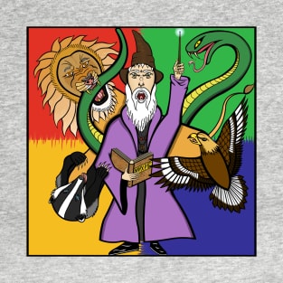 The Wizard and the Familiars T-Shirt